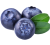 Bluberry