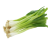 Green Spring Onion