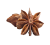 Star Anise (Chakr Phool)