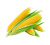 Sweet Corn