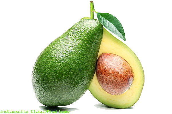 Avocado