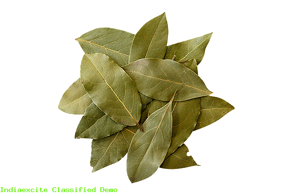 Bay Leaf