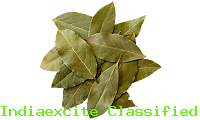 Bay Leaf