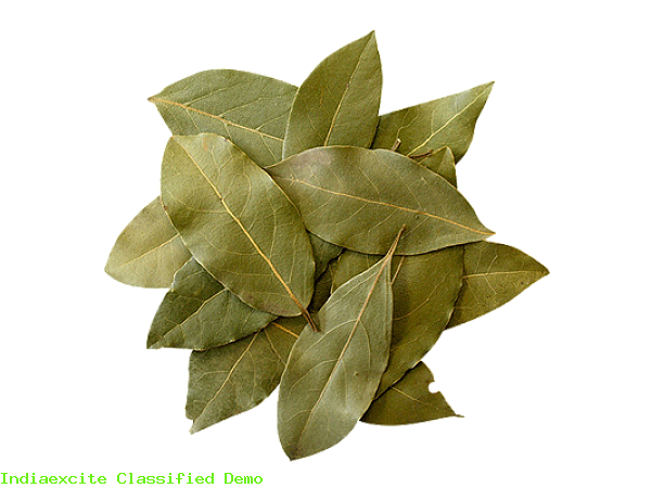Bay Leaf