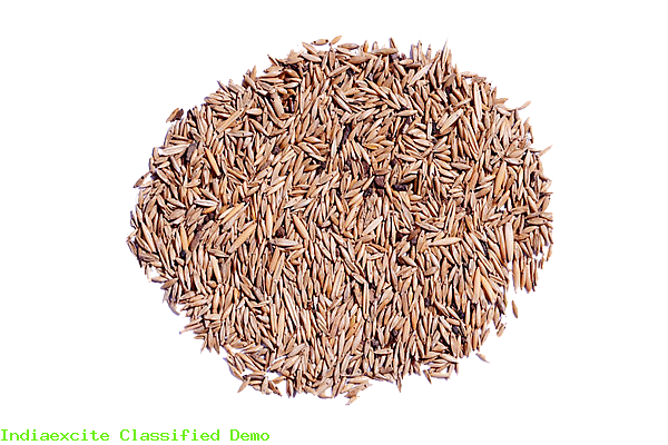 Bamboo Seed